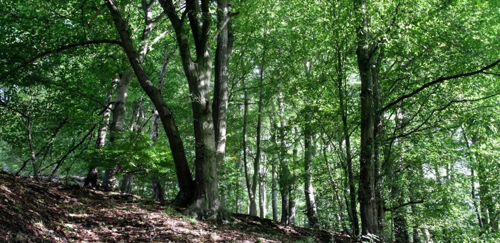 Der Mann wurde geschlagen und zurück gelassen. (Symbolbild)