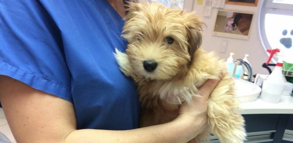 Die süße Sissy ist bereit für ihr neues Leben