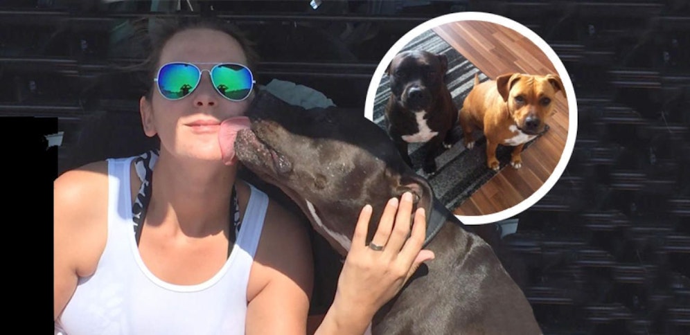 Tamara P. sucht ihre Hunde Duardo und Amica