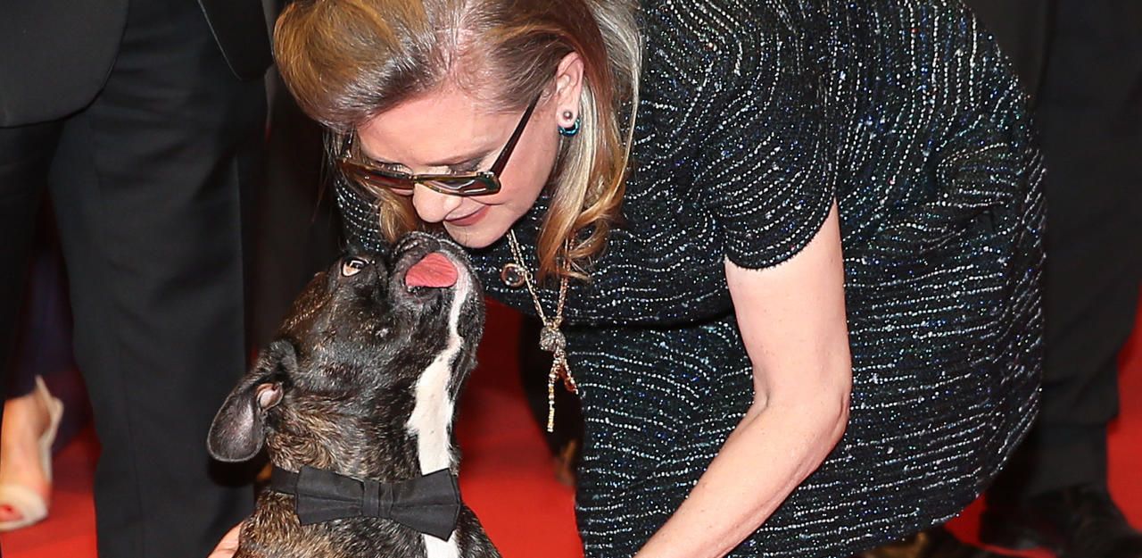 Heute.at - Dog Wars um Carrie Fishers Bulldogge Gary