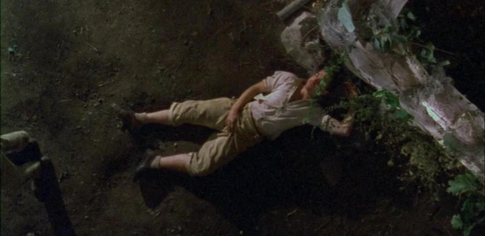 Poison - Todd Haynes 