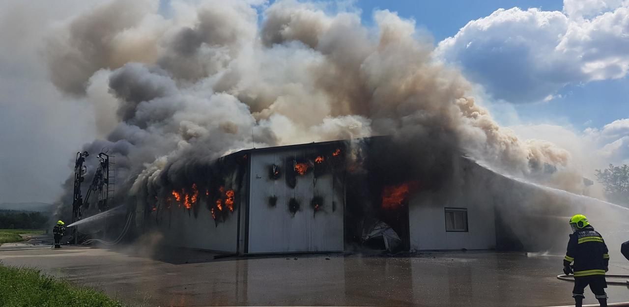 Heute.at - 40.000 Küken tot: Ursache des Brandes jetzt geklärt