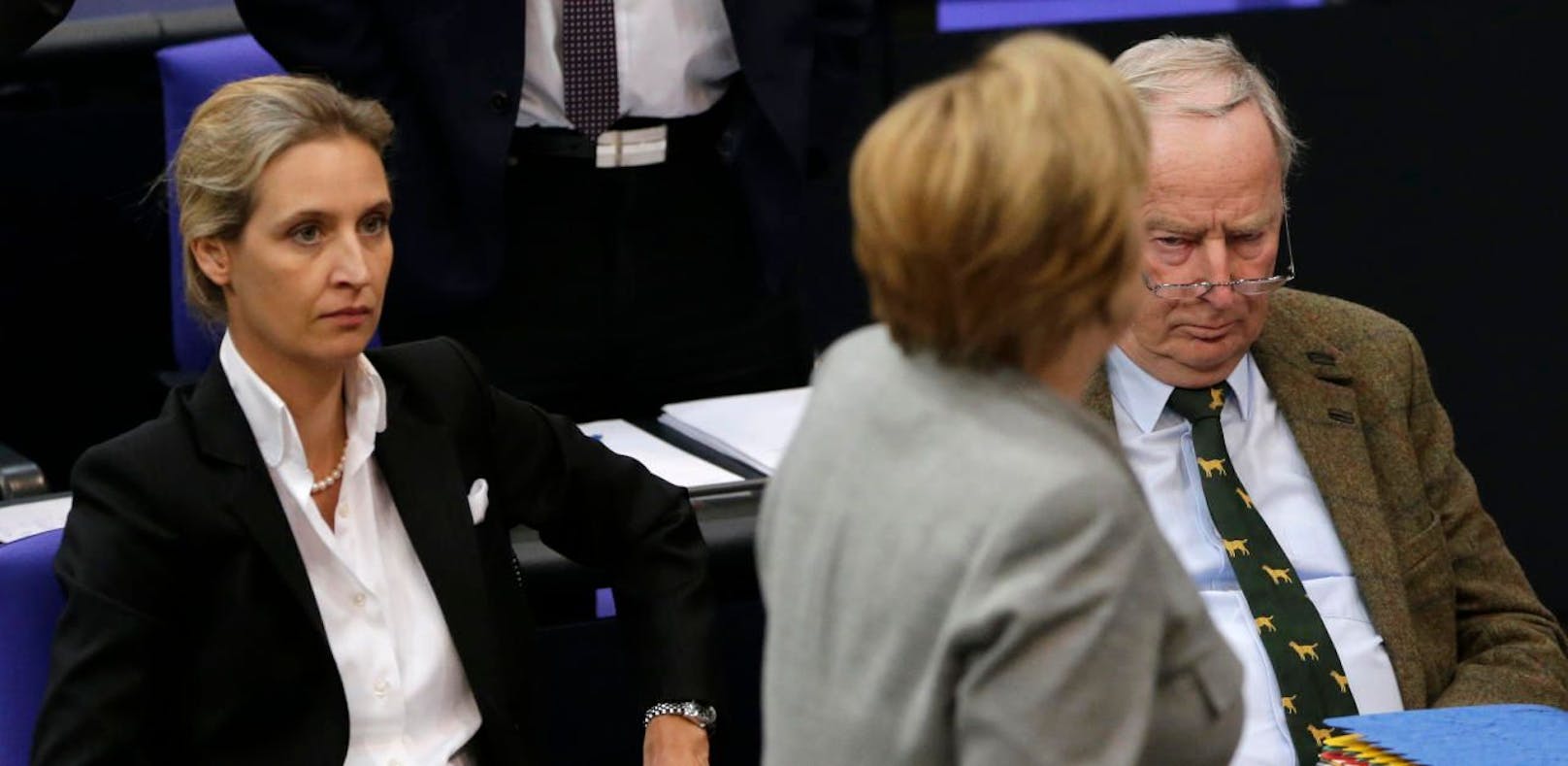 Merkel verliert den Rückhalt, die AfD im Aufwind.