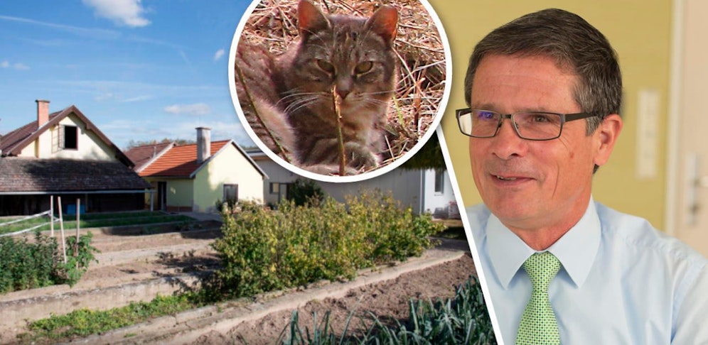 Keine Katzerl für Mautern und Häfen-Chef Timm (re.)