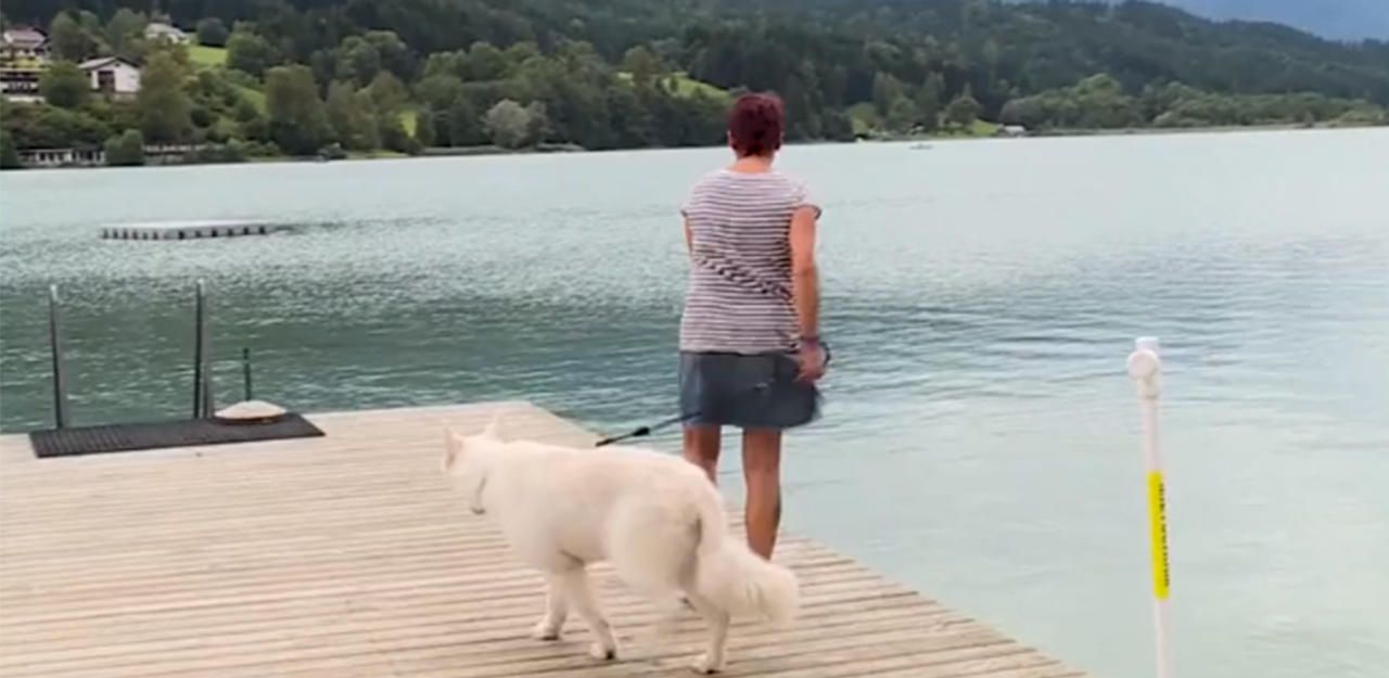 Heute.at - Urlauber in Angst vor Haien in Kärntner Badesee