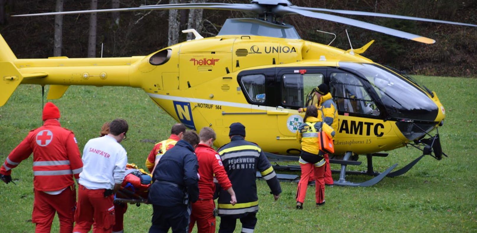 Bauer bei Forstarbeiten von Baum getroffen