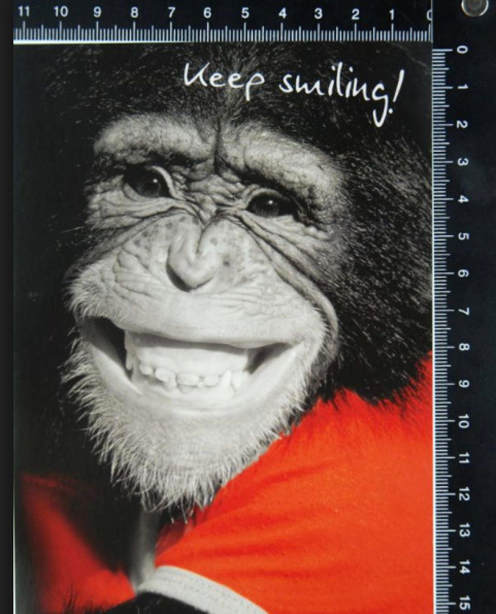 Solche Karten schickte der Mann den Fahndern.