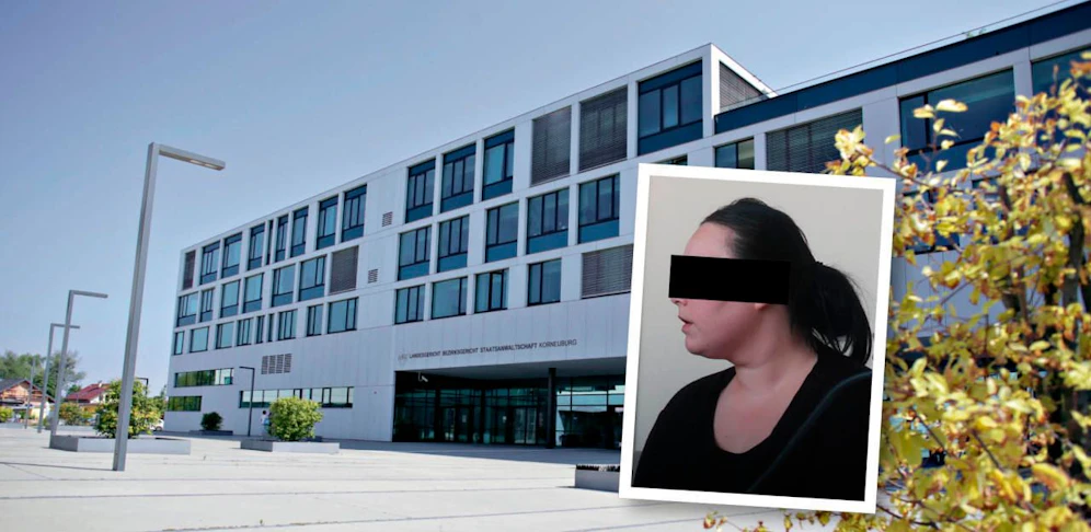 Die Frau musste in Korneuburg vor Gericht.