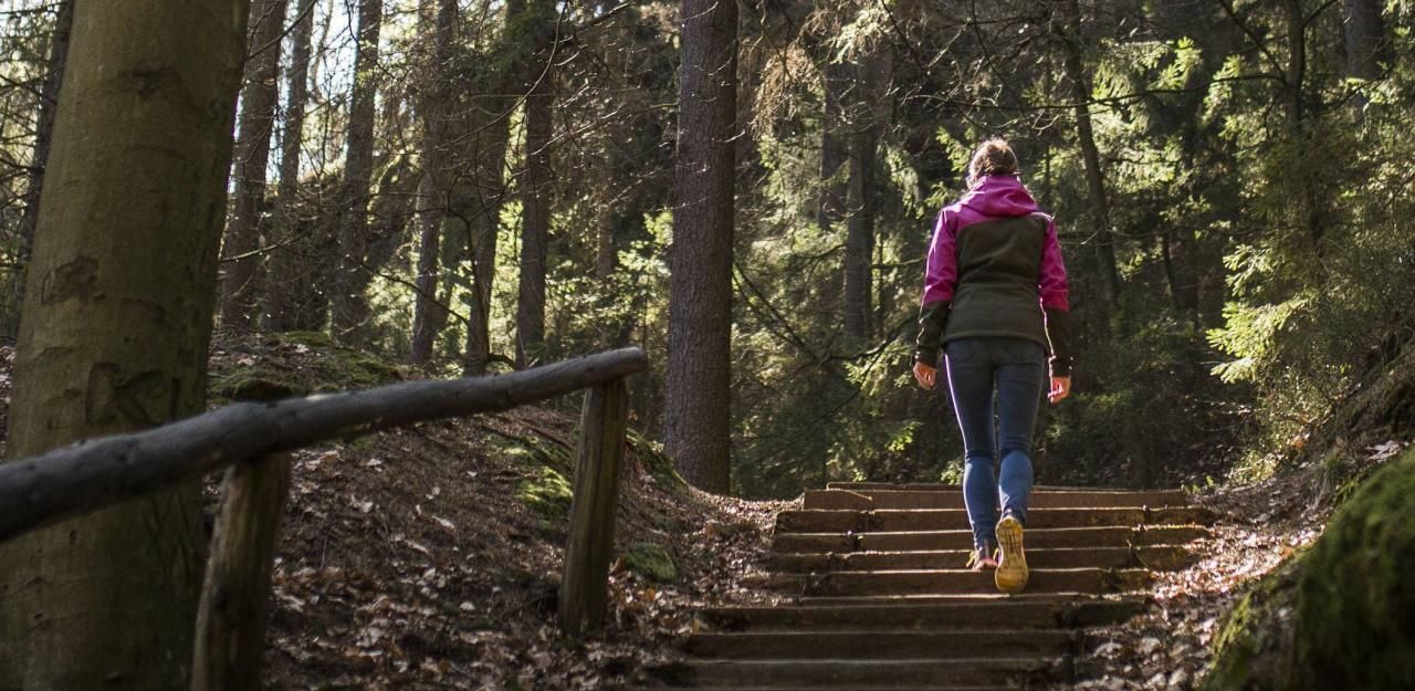 Heute.at - Junge Frau im Wald von Messer-Duo attackiert