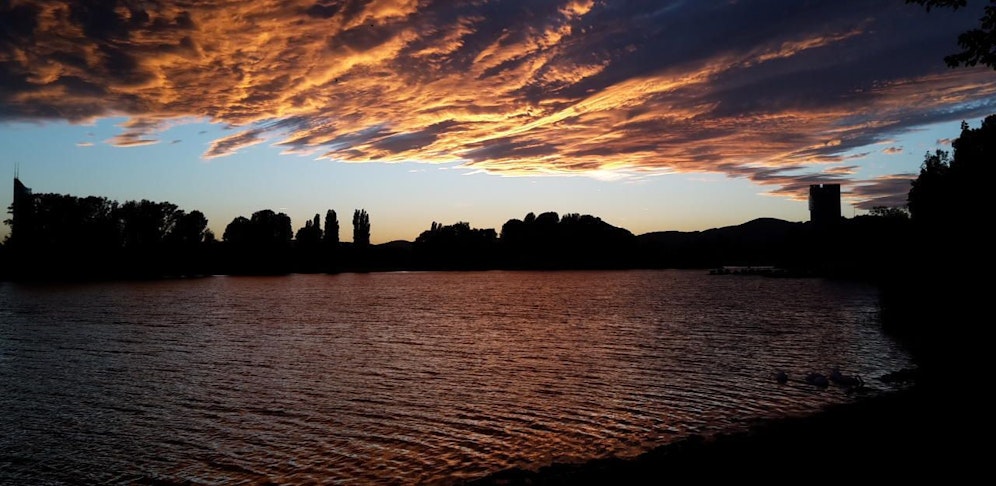 Abendrot-Stimmung von heute Abend, den 23.9.2018, aufgenommen an der Oberen Alten Donau. 