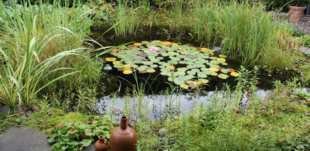 Das Kind ertrank in einem Gartenteich