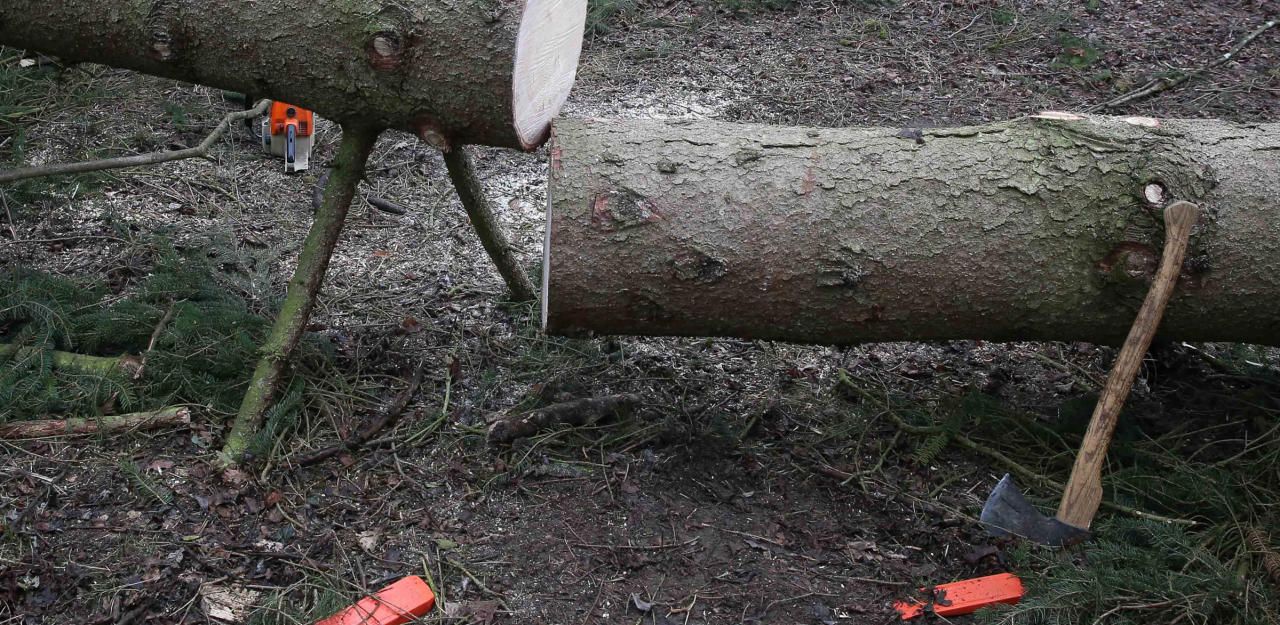 Tödlicher Forstunfall in Vöcklabruck. (Symbol)