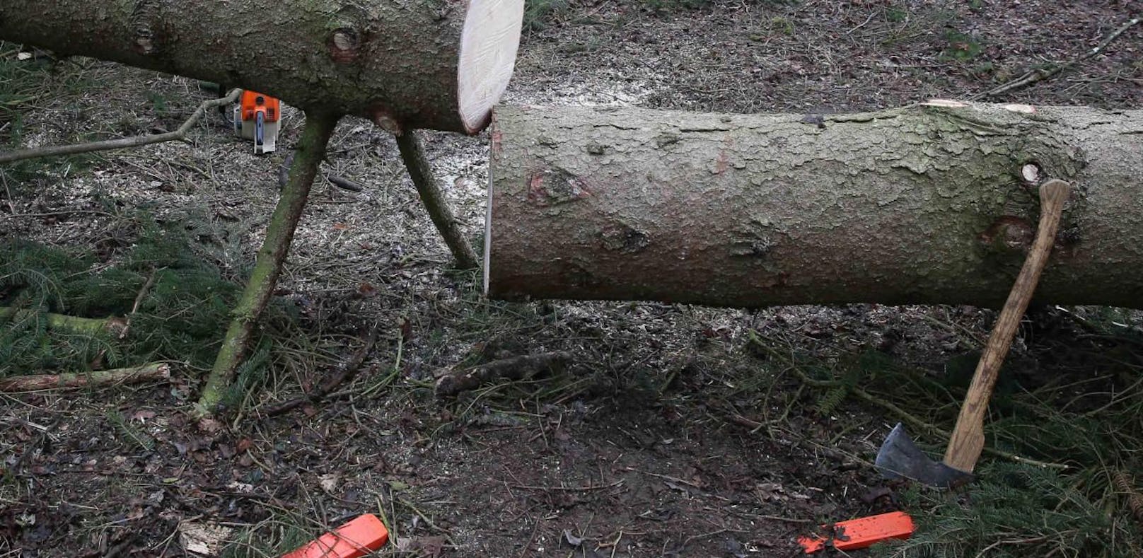 Tödlicher Forstunfall in Vöcklabruck. (Symbol)