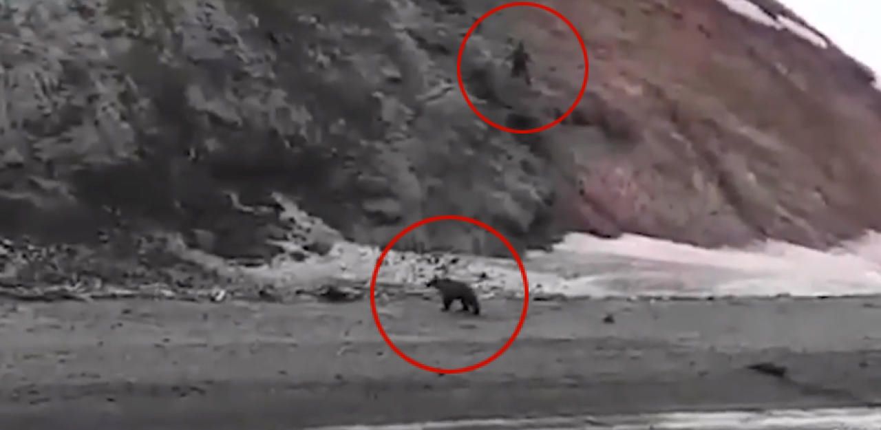 Heute.at - Bär raubt Angler die Fische und hetzt ihn in den Tod