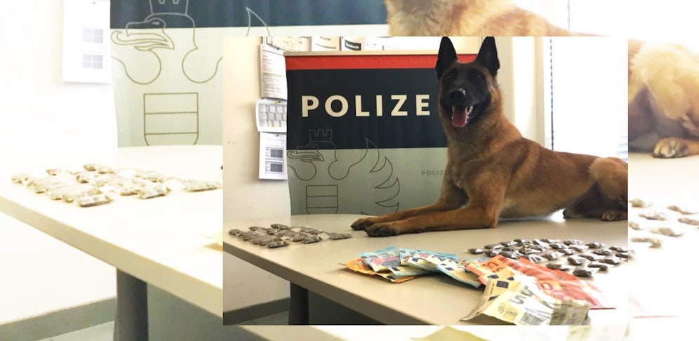 Polizei-Diensthund "Hunter" erschnüffelte neun Baggies mit Marihuana. 28 weitere wurden direkt beim Dealer gefunden.