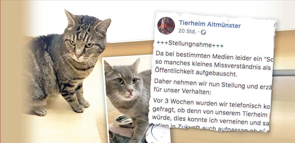 Das Tierheim nahm nun zu der versauten Überraschungsaktion auf Facebook Stellung. 