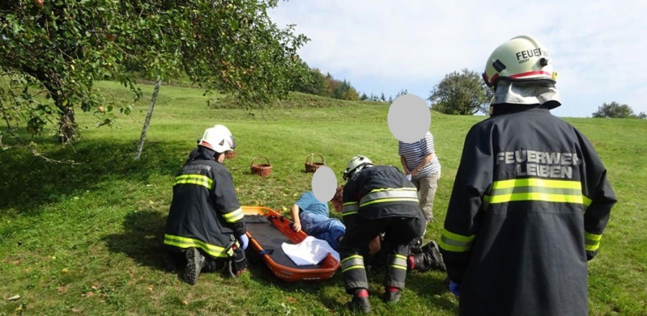 Heute.at - Schweißtreibende Rettung nach Sturz bei Apfel-Ernte