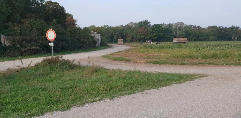 Hier spielten sich die wilden Szenen ab.
