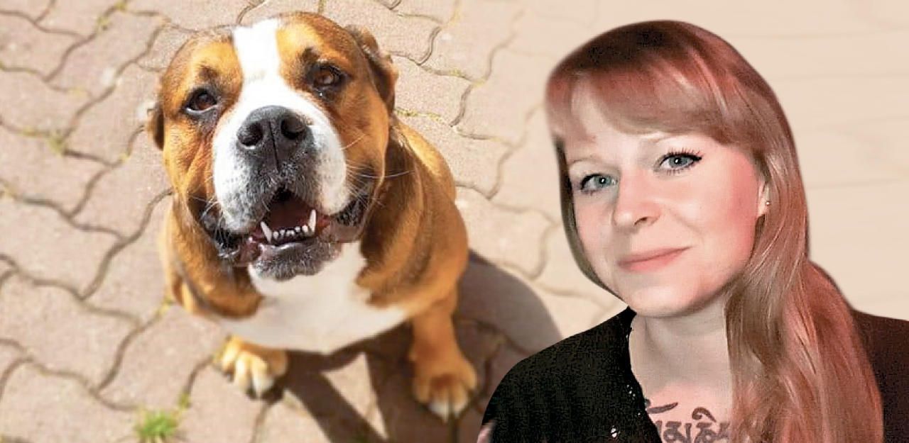 Heute.at - Wer hat meinen Hund Champi vergiftet?