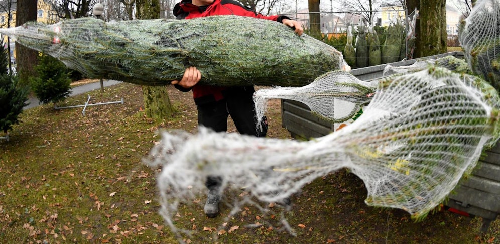 Ein Passant beobachtete die Männer bei ihrer Tat. (Symbolbild)
