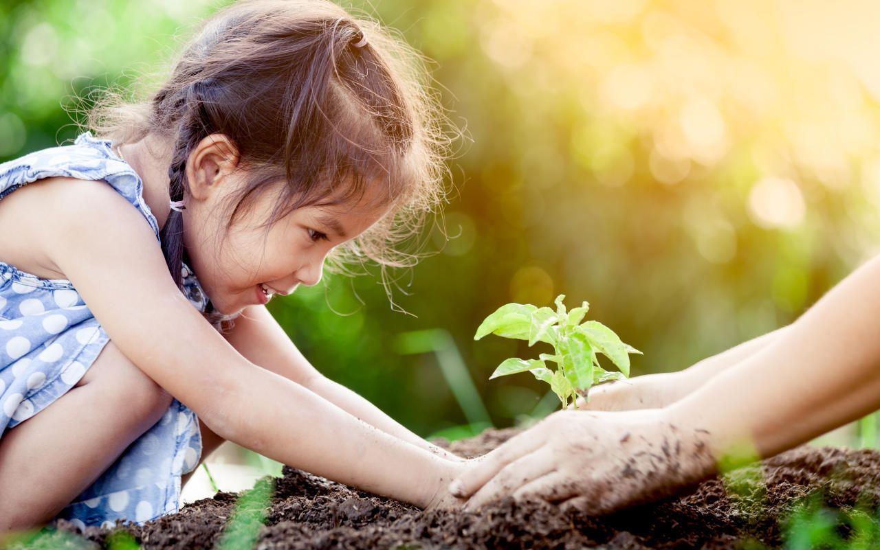 Im Garten liegt Natur im Trend - Wohnen | heute.at