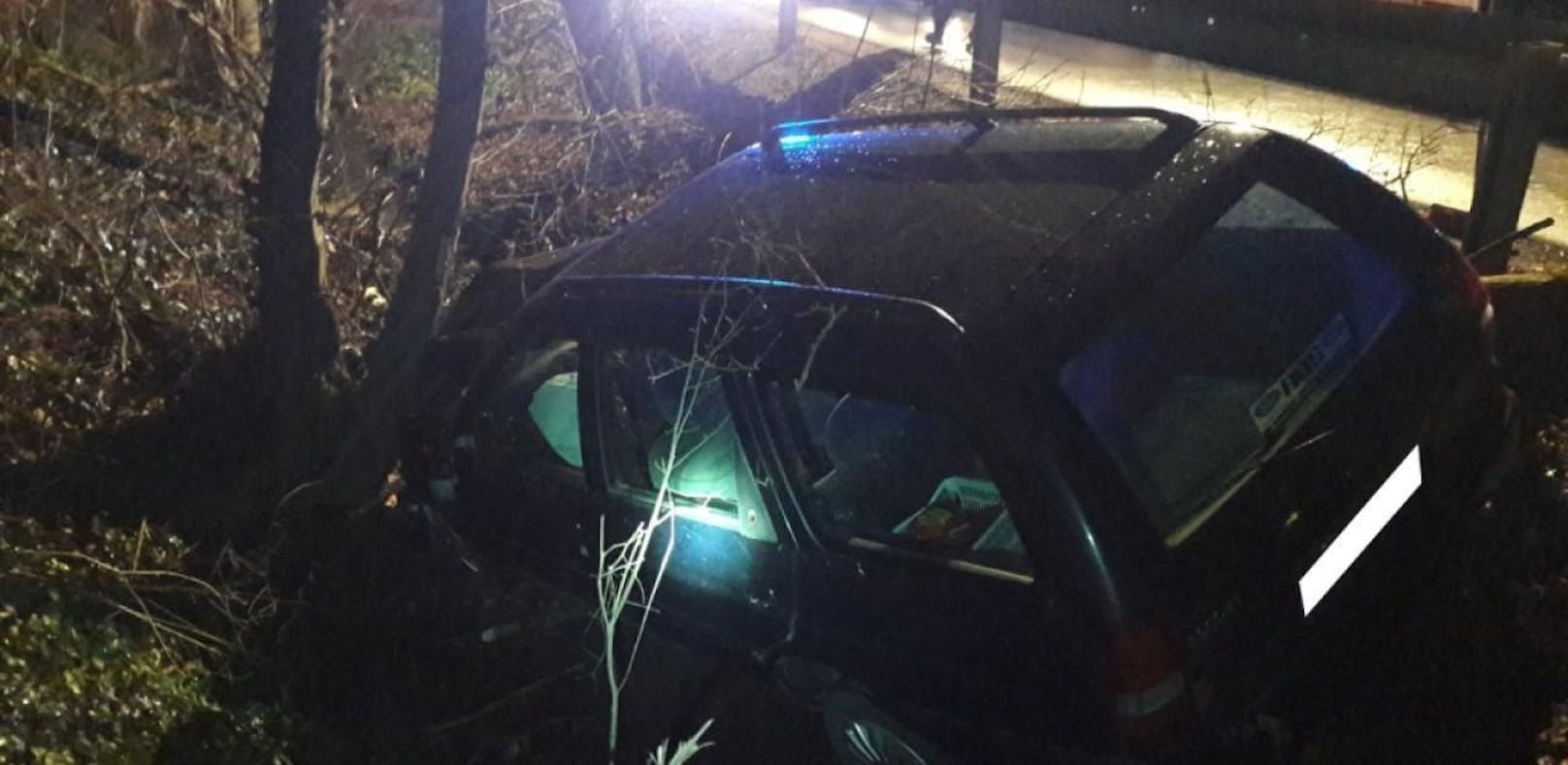 Fahrerflucht bei schwerem Unfall: Auto fällte Baum