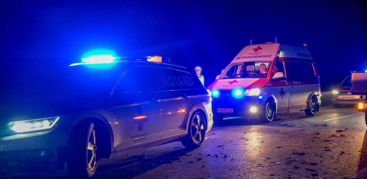 Heute.at - 18-Jähriger nach Crash mit Reh von Alko-Lenker totge...