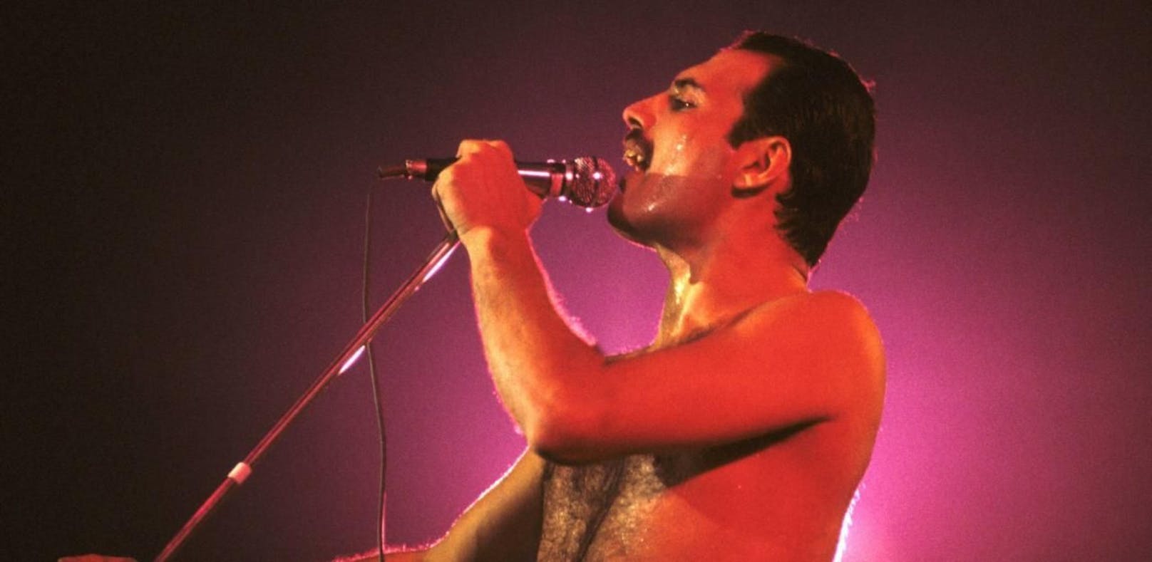 Wie gut kennen Sie Queen-Sänger Freddie Mercury?