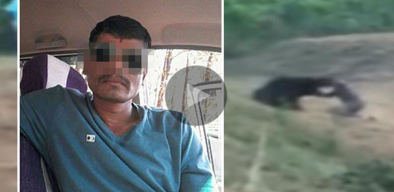 Heute.at - Taxler posiert mit Bär für Selfie und wird zermalmt