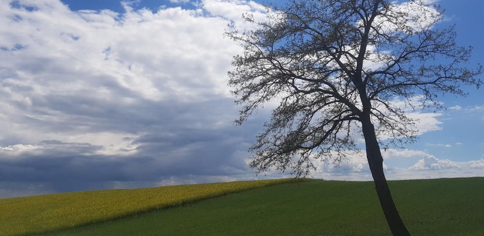 Das Wetter am Wochenende: Wolken, aber auch Sonne zeigt sich immer wieder.