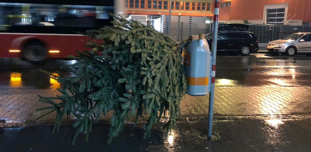 So bitte nicht: Christbäume sollte man in Wien an den offiziellen Sammelstellen abgeben.