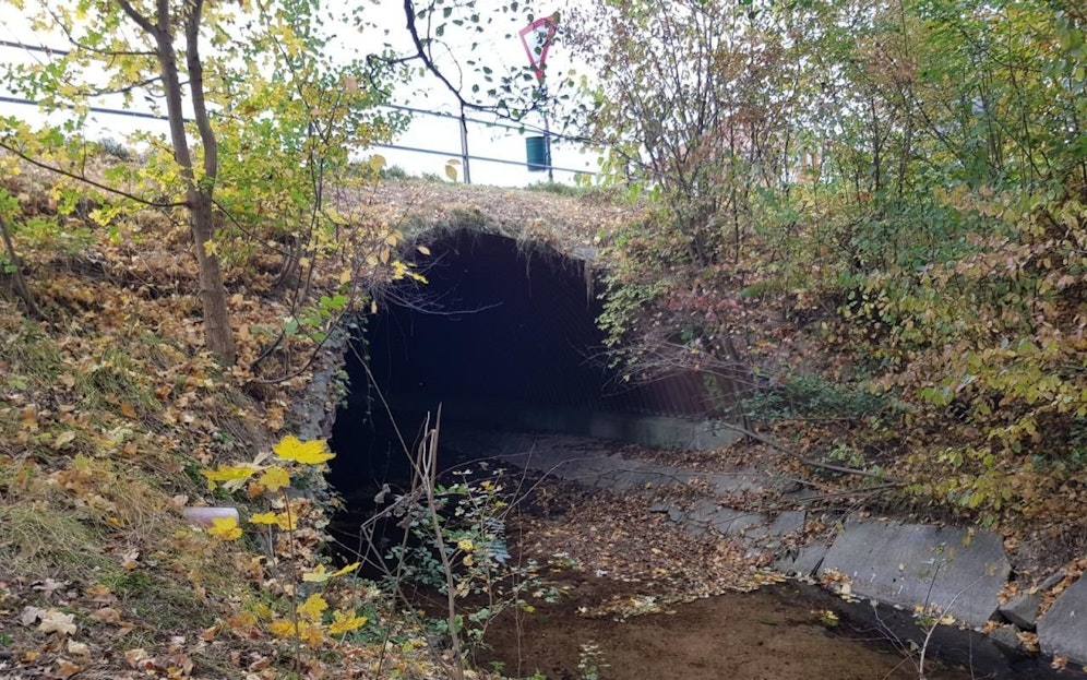 An dieser Stelle stürzte die Frau ab.