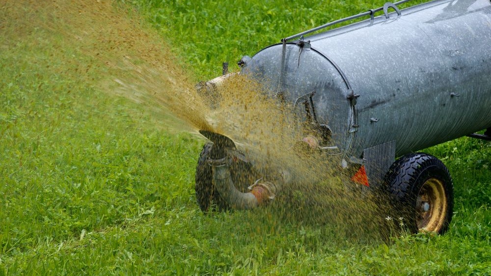 Wegen Gülle: Dieser Streit ist einfach nur Mist! - Vorarlberg | heute.at