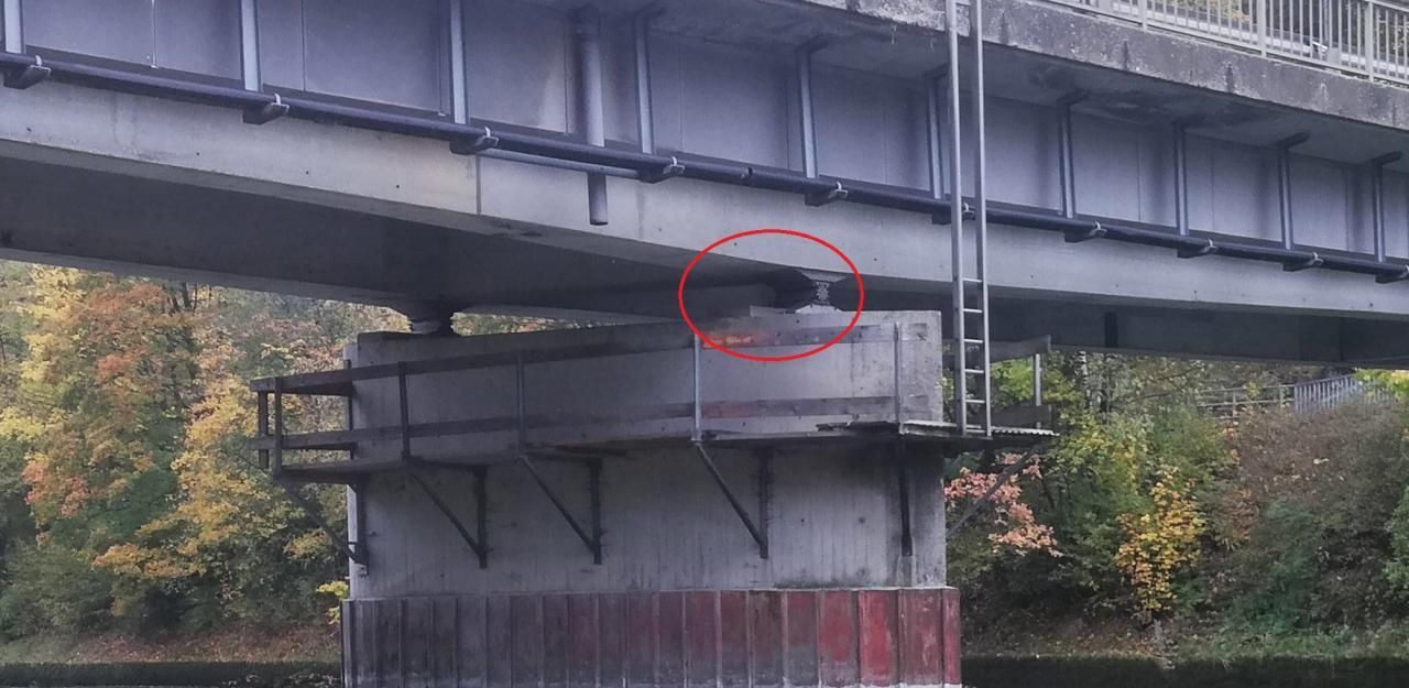 Heute.at - Feuerwehr befreit verirrte Katze von Brückenpfeiler