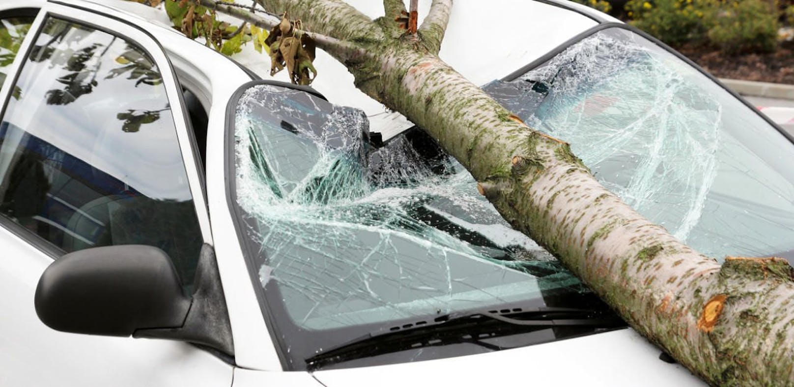 Für weite Teile des Landes wurde eine Unwetterwarnung ausgesprochen. Bäume könnten entwurzelt werden. (Symbolfoto)