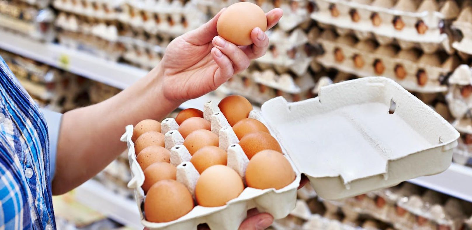 Auch bei oberösterreichischen Großhändlern sollen Fipronil-Eier entdeckt worden sein.