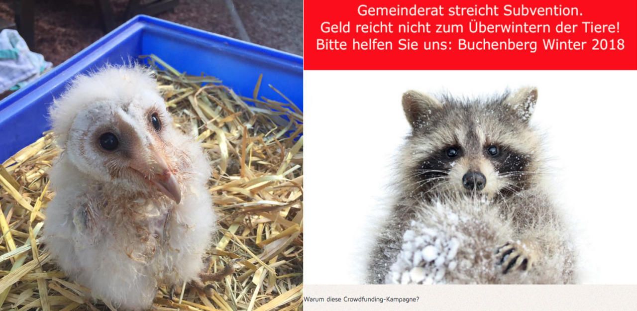 Heute.at - Keine Subvention: Tierpark startet Crowdfunding