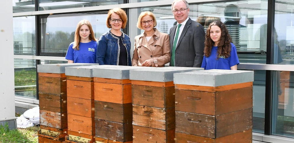 Bienen mit Landeschefin 