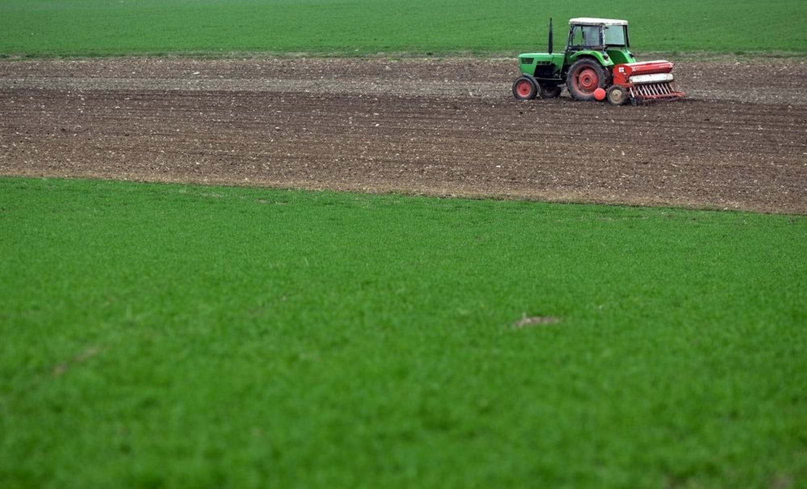 EU macht Rückzieher bei Saatgut-Verordnung