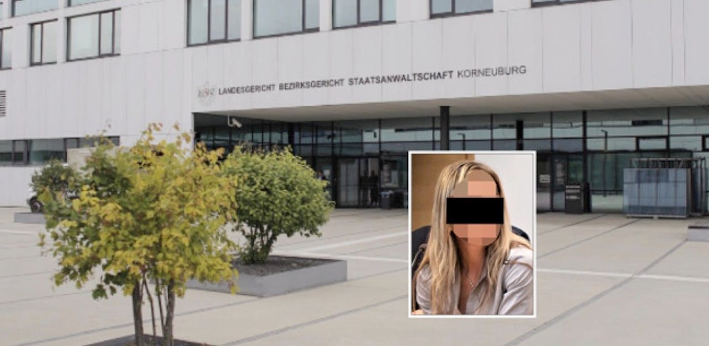 Die Frau musste in Korneuburg vor Gericht.
