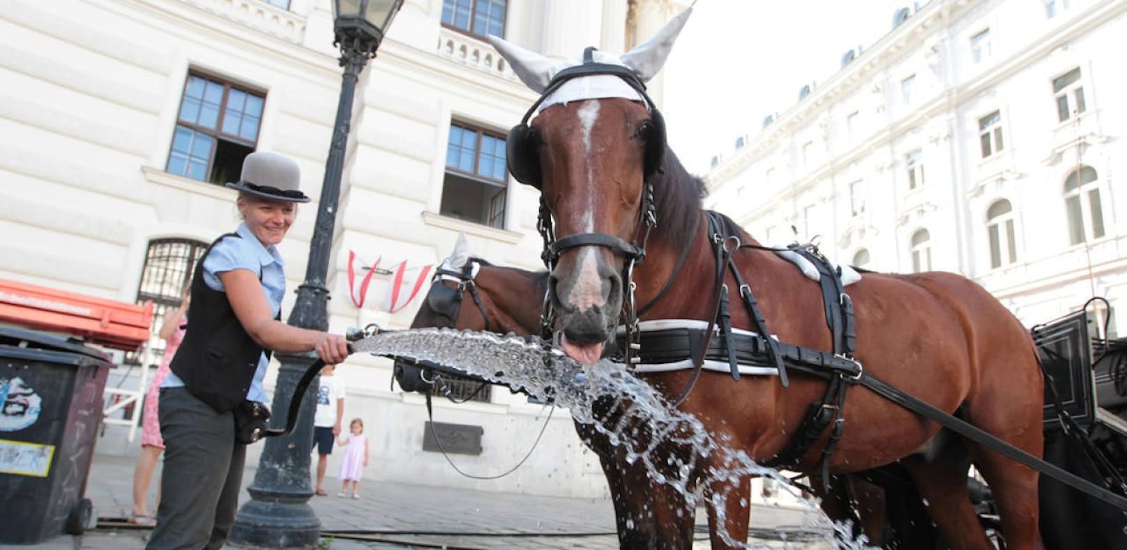 Eine Fiaker-Fahrerin gönnt ihrem Pferd eine erfrischende Dusche und einen herzhaften Schluck Wasser.
