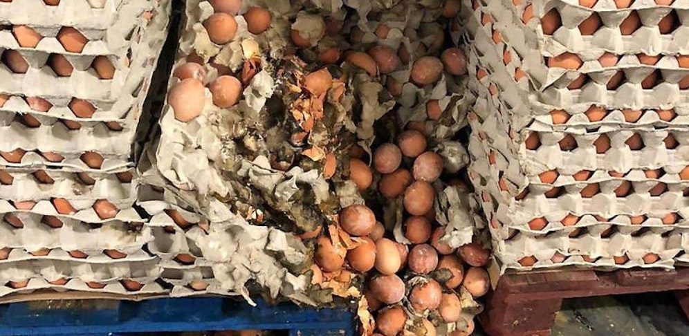 Ein Detektiv brachte den Fall mit Fotos und Anzeigen bei der Staatsanwaltschaft ins Rollen.