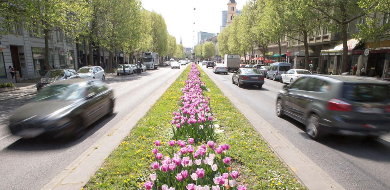 Heute.at - Männer prügelten sich in Wiener Moschee