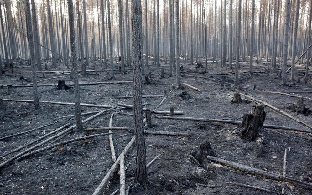 Krawumm: Das schwedische Militär setzte gegen die verheerenden Waldbrände eine 270-Kilo-Bombe ein. 