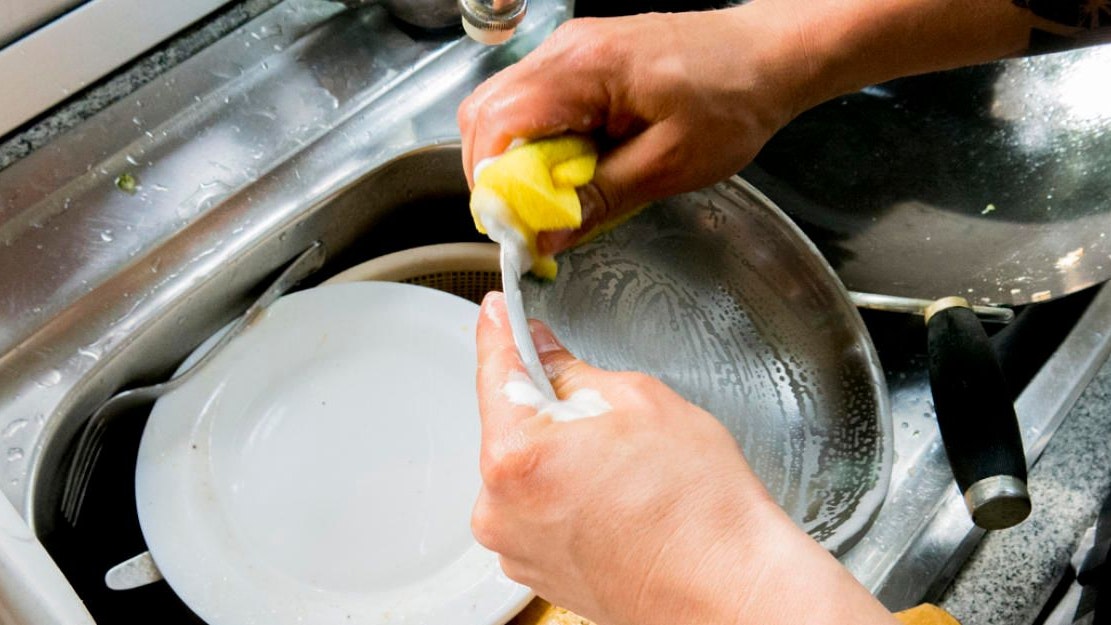 Bakterienalarm: Deinen Spülschwamm solltest du jede Woche austauschen.