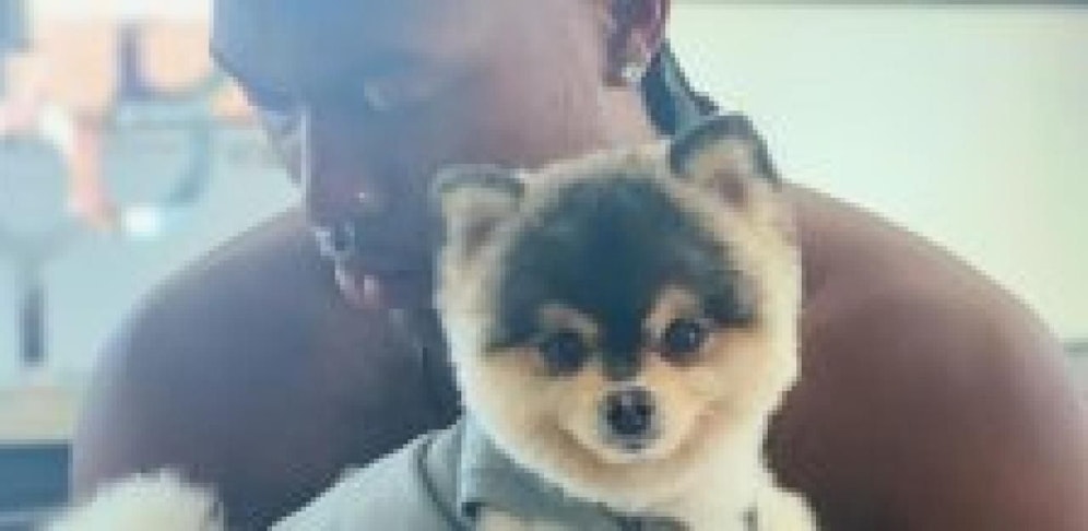 Daniel Sturridge und seine Hündin Lucci.