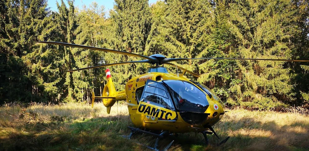 Der "Christophorus 2" wurde zu einem Forstarbeiter, der von einem Schwarm Hornissen attackiert worden war, in den Wald gerufen.