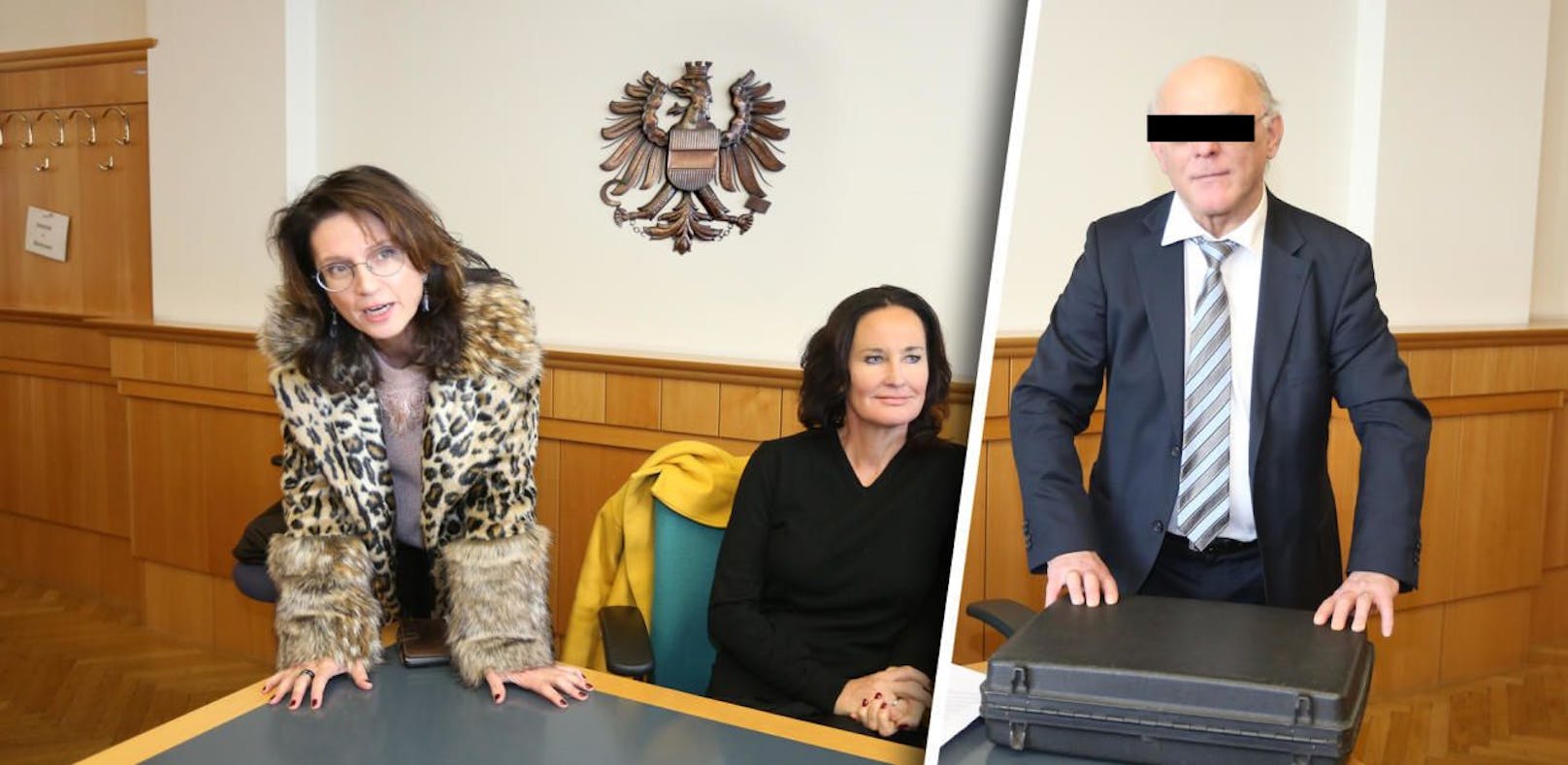 Anwältin Astrid Wagner (forderte Schmerzensgeld für Madame Nina); Ex-Grünen-Chefin Eva Glawischnig klagte Walter E. (r.) wegen übler Nachrede.