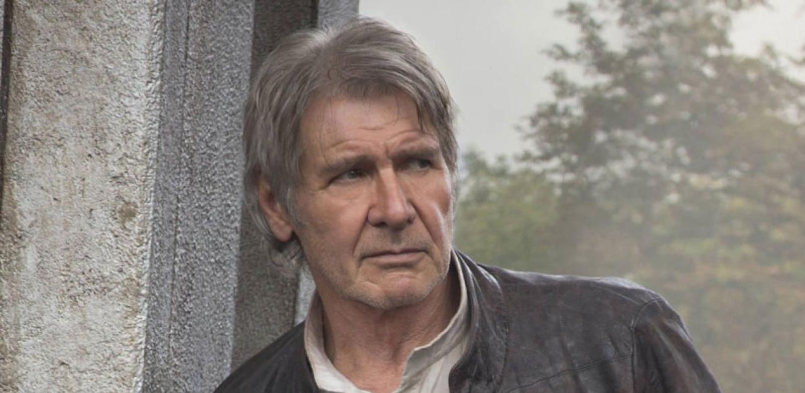 Harrison Ford darf seine Fluglizenz behalten