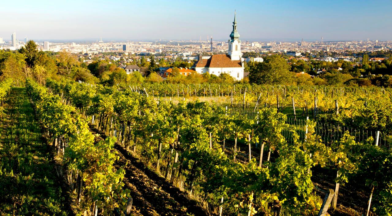 Unbezahlbar: der Blick über die Weinberge. 